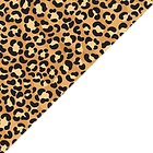 corner MS.png